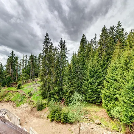 Forest Harmony 1bd With Balcony & Parking By Flat Manаger * سموليان